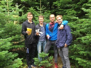 Juletræ_mærkning
