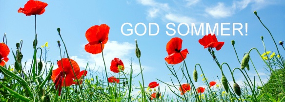 poppy red